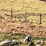 Loughcrew Photo James Brennan 07