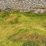 Loughcrew Photo Santiago Ros 03