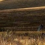 Kazanovka megaliths PHOTO by IPAAT 03