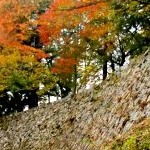 Takatori castle ruins in Nara. Photo by ru.japantravel.com 05