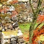 Takatori castle ruins in Nara. Photo by ru.japantravel.com 09