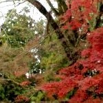 Takatori castle ruins in Nara. Photo by ru.japantravel.com 17