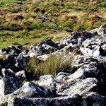 Dartmoor prehistoric sites photo 40 by holidayindartmoor.co.uk 