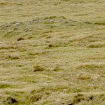 Dartmoor prehistoric sites photo 44 by holidayindartmoor.co.uk 