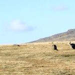 Dartmoor prehistoric sites photo 46 by holidayindartmoor.co.uk 