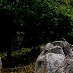 Glaner Braut dolmen. Photo by Bogdan Piwowarczyk