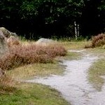 Glaner Braut dolmen. Photo by Bogdan Piwowarczyk 2