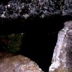 Grand Dolmen de Ferrussac Photo by FeDeRATION CHASSE ET NATURE AUDE