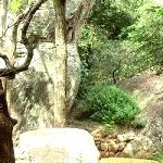 Sigiriya Rock. Photo by Daibo Taku 2