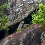 Sigiriya Rock. Photo by Konstantin Kamyshnikov