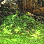 Sigiriya Rock. Photo by Maciek Pomykalski 4