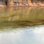 Sigiriya Rock. Photo by Mustafa Azzouqa