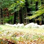 Visbeker Brautigam dolmen Photo by Tomcio Tomcio 2