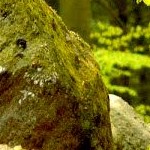 Visbeker Brautigam dolmen Photo by Ulrich Mertens 2