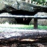 Visbeker Brautigam dolmen Photo by Wolf Dieter Wensky